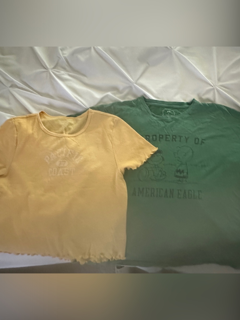 A set of 2 XL American Eagle Outfitters Green Graphic and Yellow Ruffle-Edge tee
